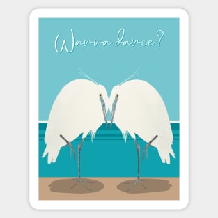 Wanna dance? Two white herons. Sticker